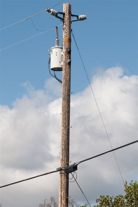 what is metal box on telephone poles in tucson az|town's utility pole boxes.